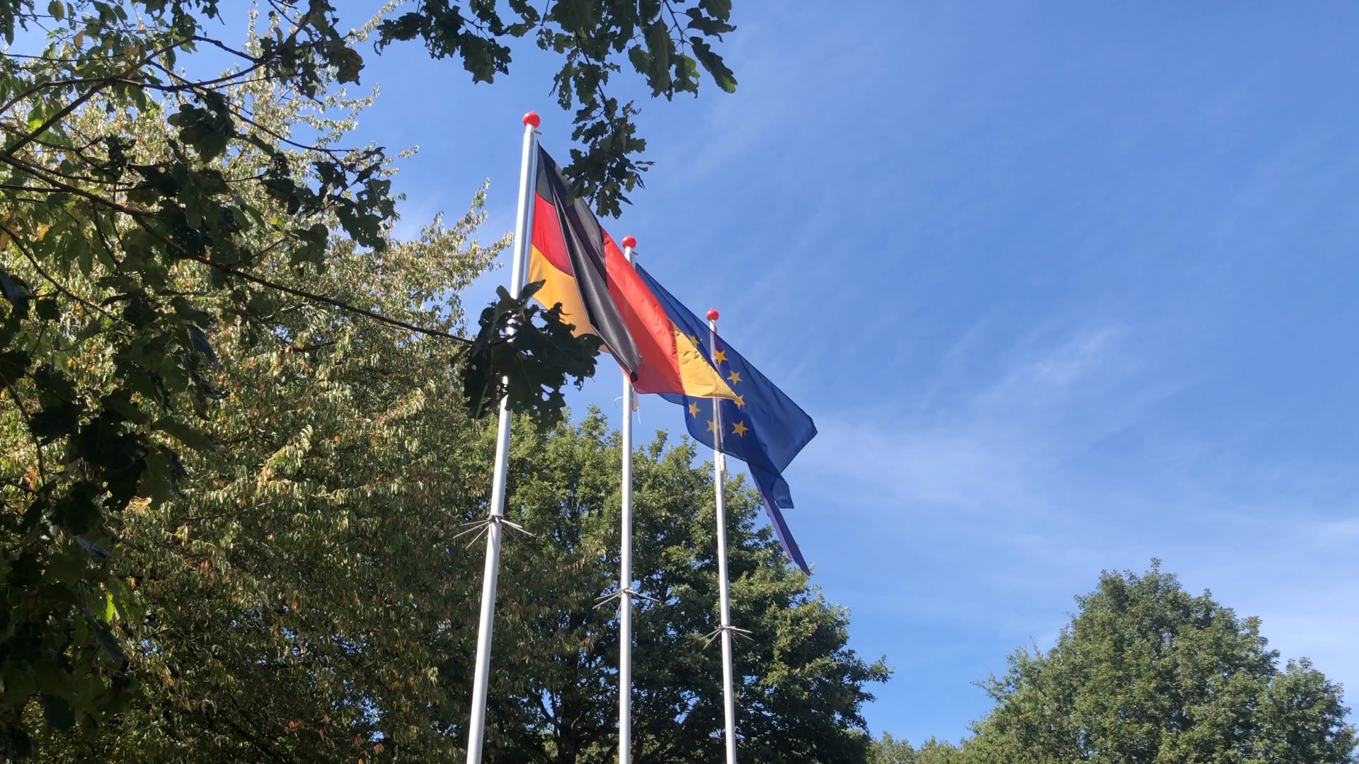 drapeau allemand et drapeau européen sur fond d'arbres et du ciel